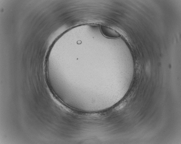 X0000076081135200610152246