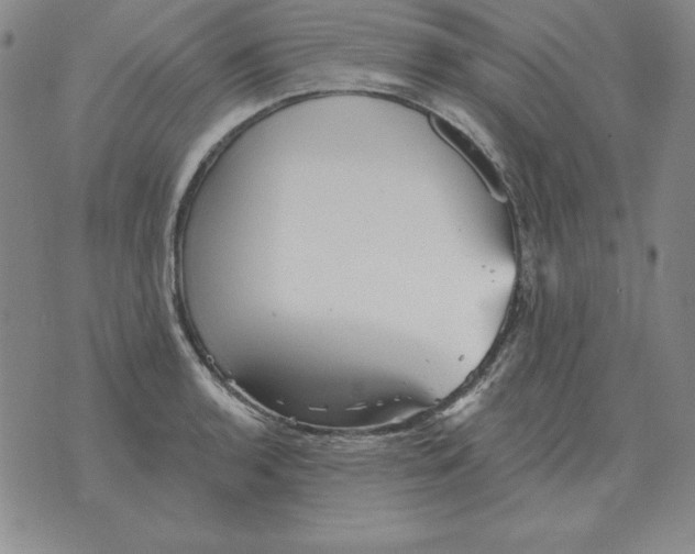 X0000076081136200610152246