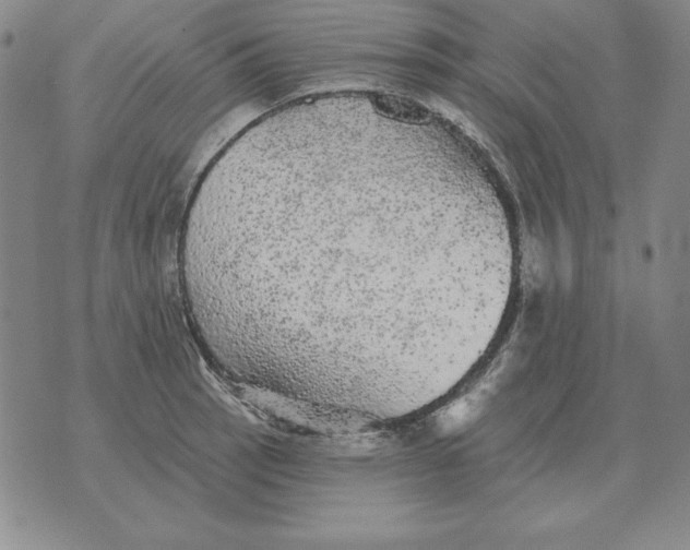 X0000076081137200610152246