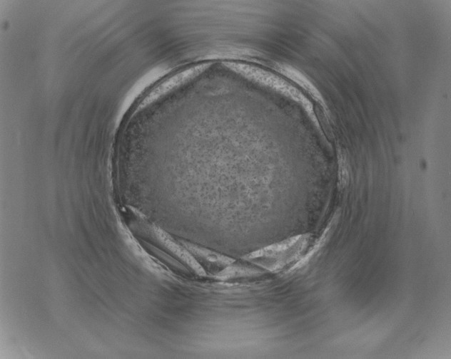 X0000076081138200610152246