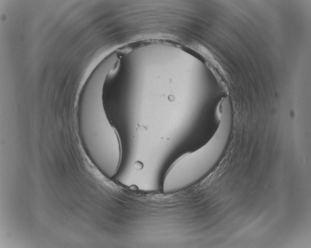 X0000076081140200610152246