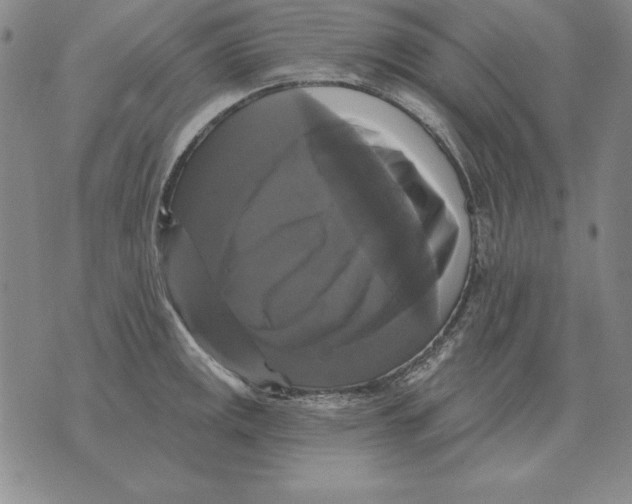 X0000076081141200610152246