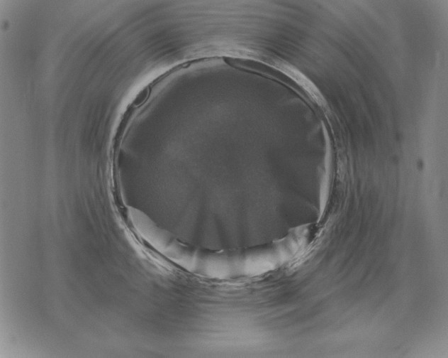 X0000076081144200610152246