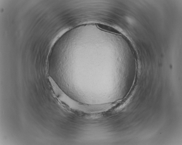 X0000076081145200610152246