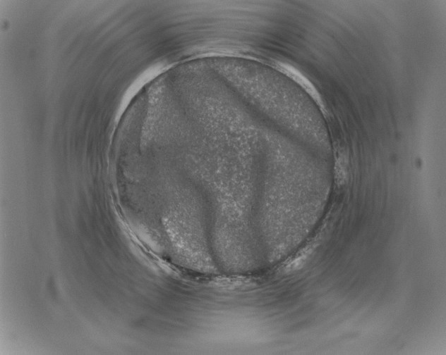 X0000076081146200610152246