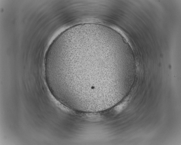 X0000076081147200610152246