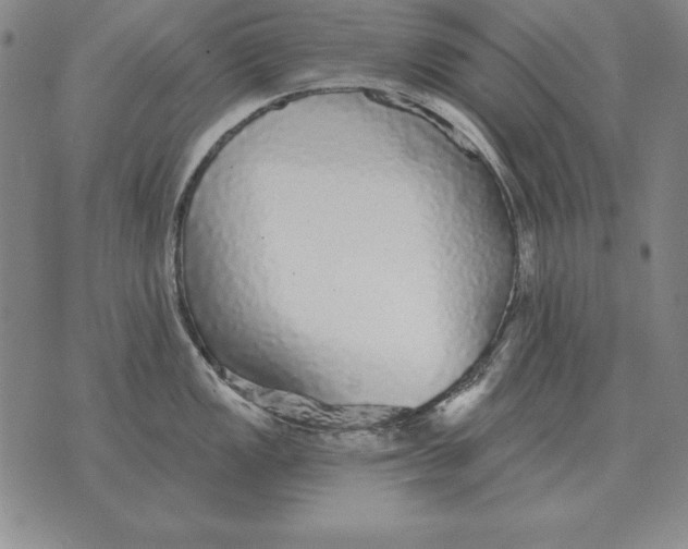 X0000076081149200610152246