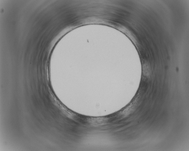 X0000076081150200610152246