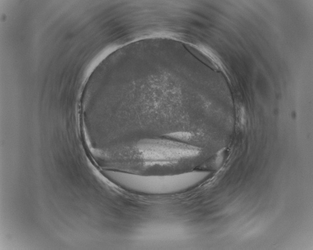 X0000076081151200610152246