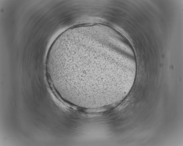 X0000076081152200610152246