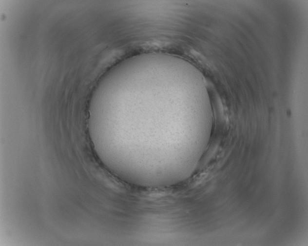 X0000076081153200610152245