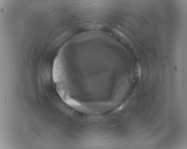 X0000076081154200610152245