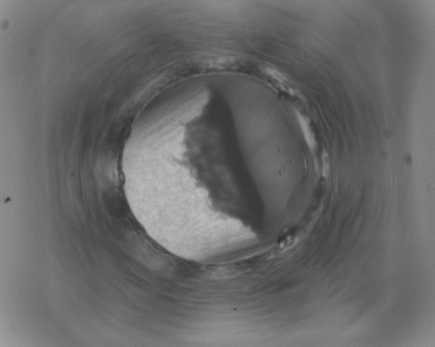 X0000076081155200610152245