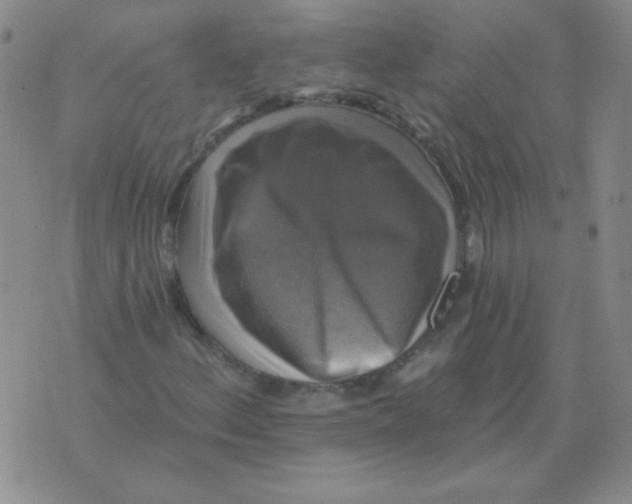 X0000076081156200610152245