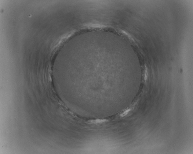 X0000076081157200610152245