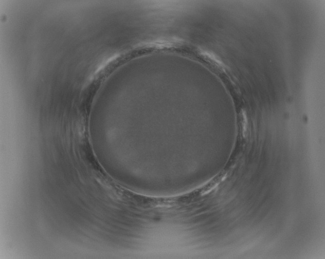 X0000076081158200610152245