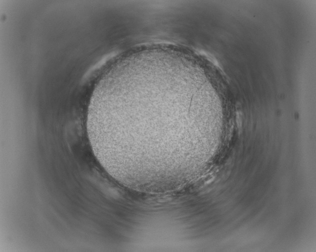 X0000076081159200610152245