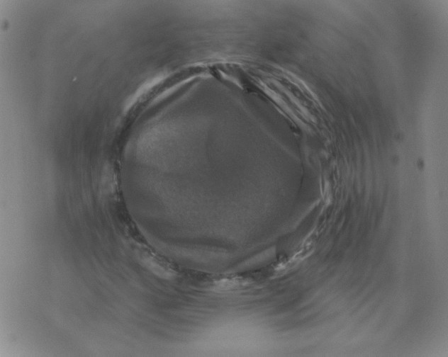 X0000076081160200610152245