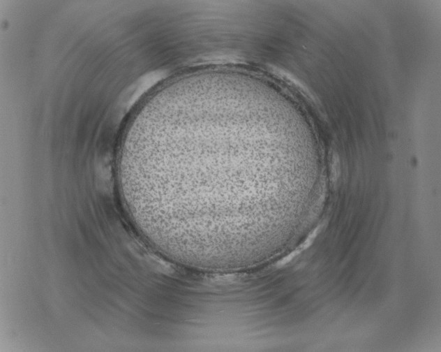 X0000076081162200610152245