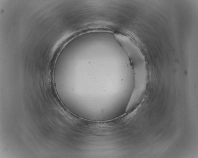 X0000076081164200610152245