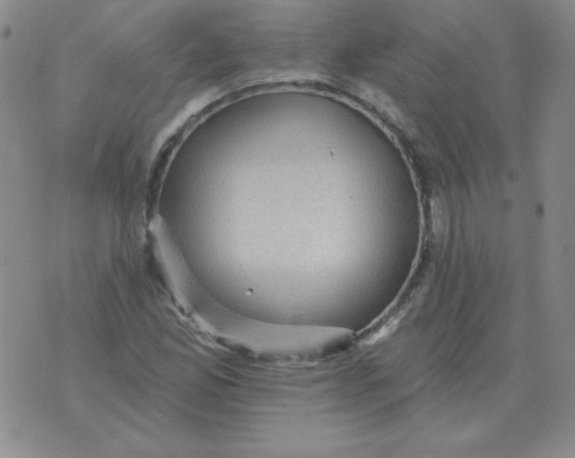 X0000076081165200610152245