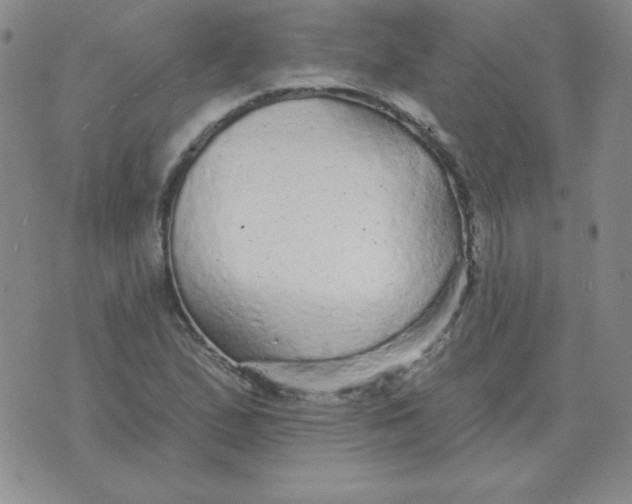 X0000076081167200610152245