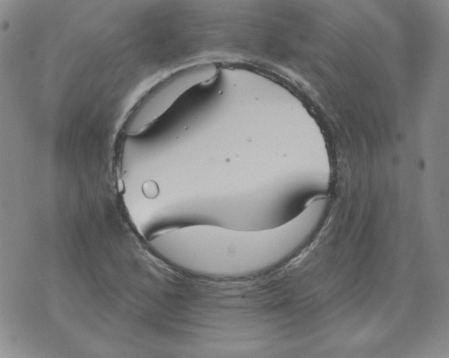 X0000076081168200610152245