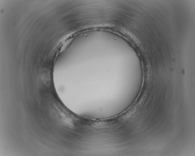 X0000076081169200610152245