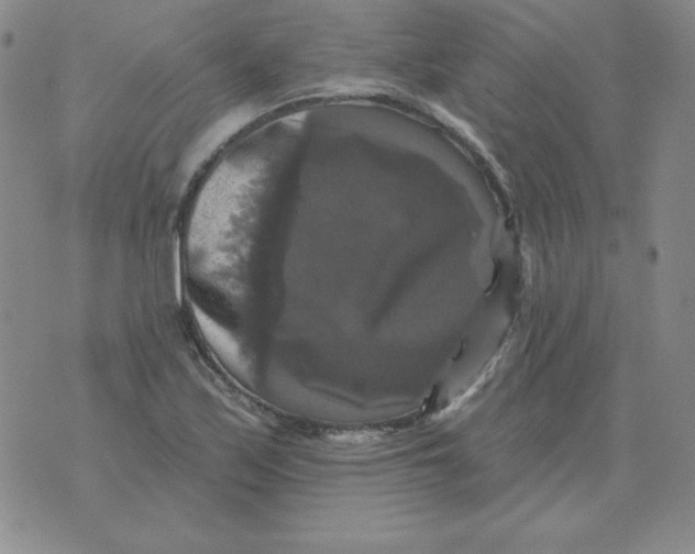 X0000076081171200610152245