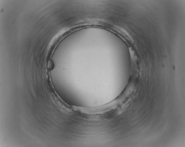 X0000076081172200610152245