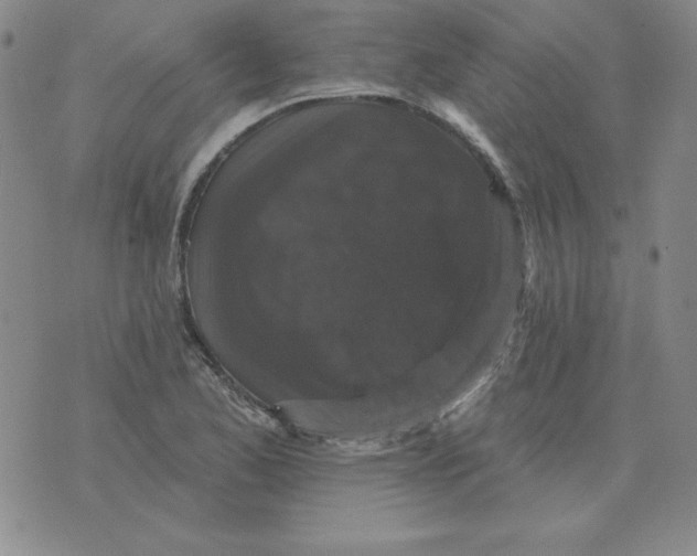 X0000076081173200610152245