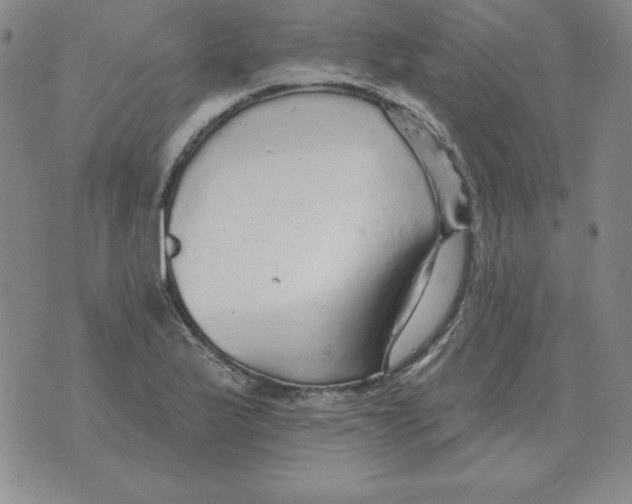 X0000076081175200610152245