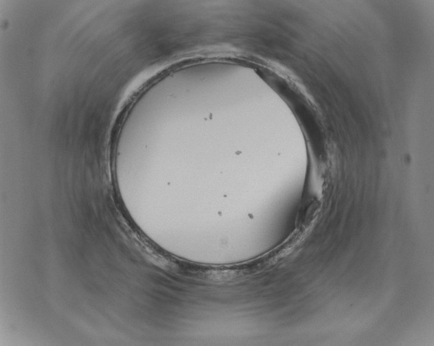 X0000076081176200610152245