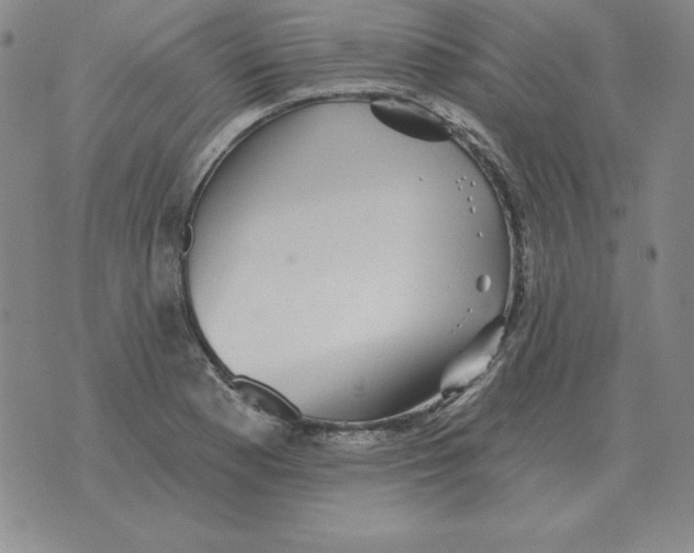 X0000076081177200610152245