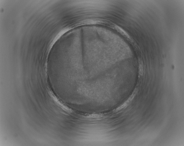 X0000076081178200610152245