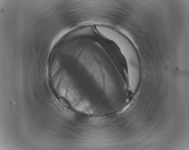 X0000076081179200610152245