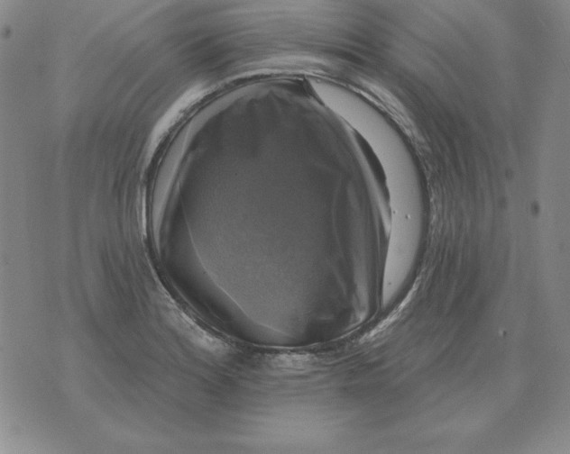 X0000076081180200610152245