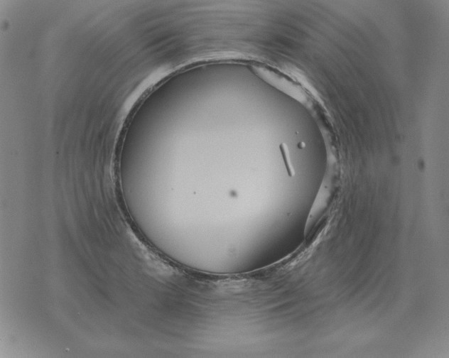 X0000076081181200610152245