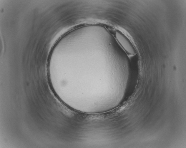 X0000076081183200610152245