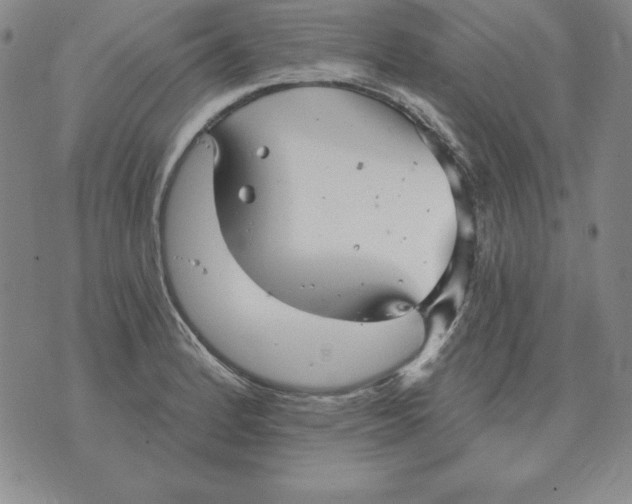 X0000076081184200610152245