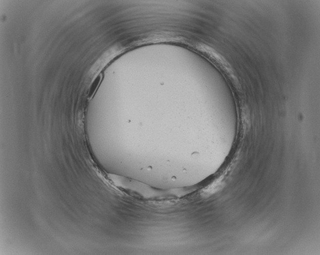 X0000076081185200610152245