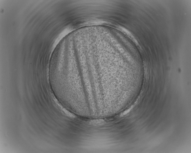 X0000076081186200610152245