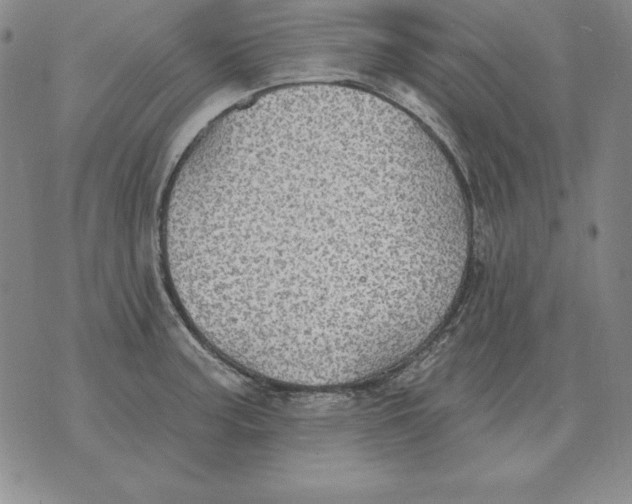 X0000076081187200610152245