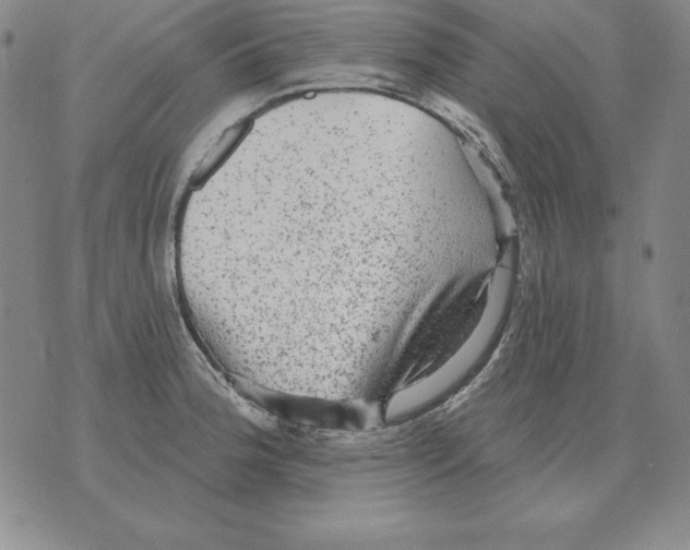 X0000076081188200610152245