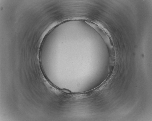 X0000076081189200610152245