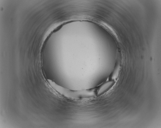 X0000076081192200610152245