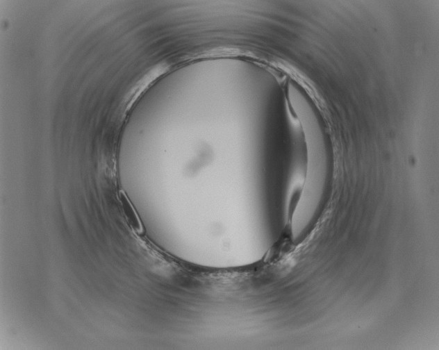 X0000076081193200610152245