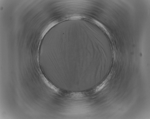 X0000076081194200610152245