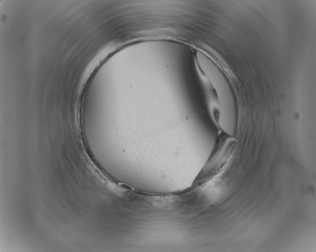 X0000076081196200610152245