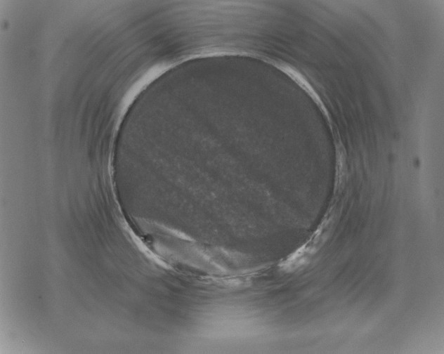 X0000076081197200610152245